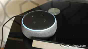 Amazon Customers May Soon Be Asking Alexa How Much She's Charging to Help     - CNET