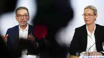 Rechtsparteien erstarken in der EU – ihre Ideen würden die Wirtschaft viel Geld kosten