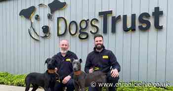 Dogs Trust Darlington supported by £2,000 donation from Amazon to help care for over 100 dogs