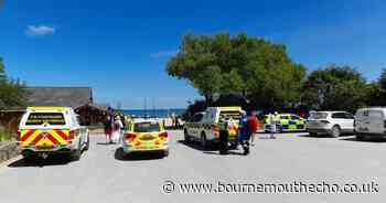 Man fell down a cliff at Old Harry Rocks