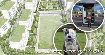 Five stories you may have missed from around Watford
