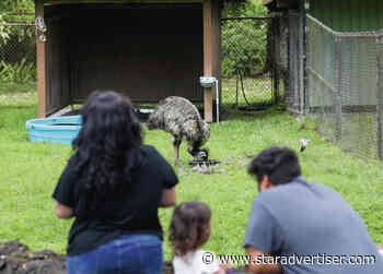 Hawaii island’s only zoo to begin charging admission in 2025
