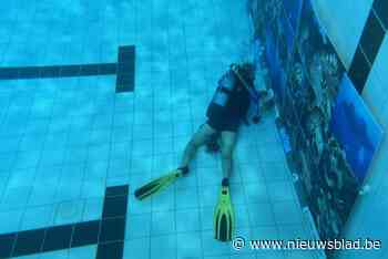 Duikschool Aronnax doet gooi naar wereldrecord met onderwatertentoonstelling: “171 foto’s bevestigd aan muren van sportbad”