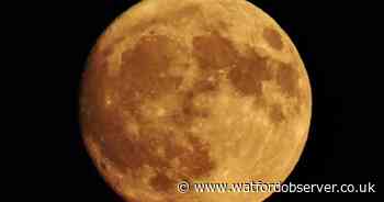 Stunning Strawberry Moon captured in skies over Herts