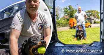 Mario is geen alledaagse taxichauffeur: dik duizend euro verdiend met kat naar Spanje vervoeren