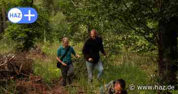 Spurlos verschwunden in Hämelerwald: Familie und Freunde suchen mit Menschenkette - ohne Spur