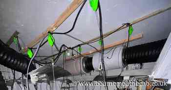 Police discover cannabis farm at property in Blandford