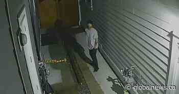 Surveillance captures man wandering Surrey neighbourhood on night Tori Dunn killed