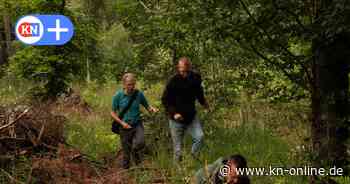 Lehrte: Familie und Freunde suchen mit Menschenkette nach 87-Jährigen