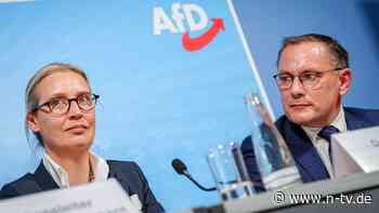 "Die Souveränisten": AfD plant wohl neue Rechtsaußen-Fraktion im EU-Parlament