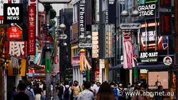 Japan's tourist hot spots introduce two-tiered pricing systems for visitors and locals