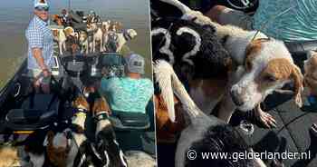 Vissers redden 38 jachthonden van verdrinkingsdood in meer in Mississippi: ‘Ze zagen de oever niet meer’