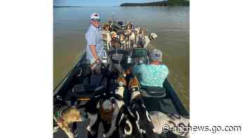 38 dogs were close to drowning on a Mississippi lake. But some fishermen had quite a catch