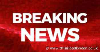 New Cross Lewisham Way stabbing: Man fighting for life