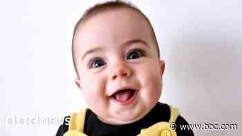 Baby killed by pet dog named by police