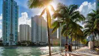 786 takes over as most purchased area code: new report