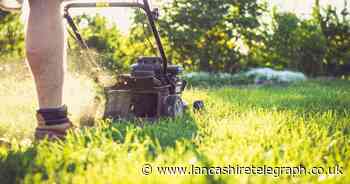 How to look after your lawn in summer: Expert shares 4 tips