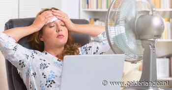 Ruim 63 ventilators getest, dit is de beste om de warme dagen door te komen: ‘Goede verkoeling’