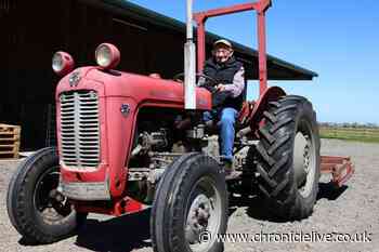 A dream come true as 90-year-old with terminal condition relives his youth on farm for special birthday