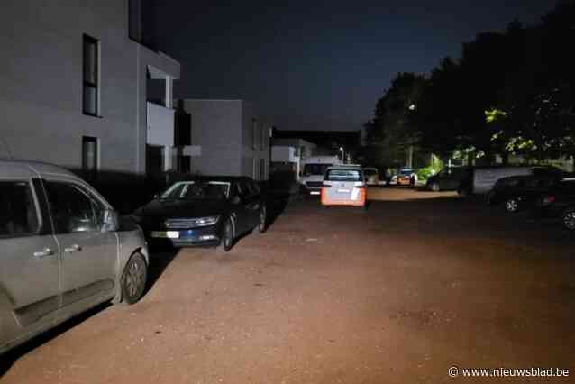Steekpartij in Rijkevorsel: minderjarigen van 16 en 17 jaar oud worden voorgeleid bij jeugdrechter, meerderjarige moet voor onderzoeksrechter verschijnen