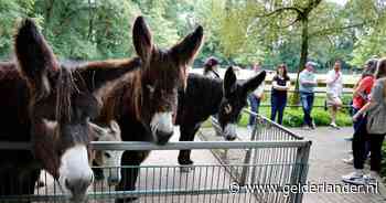 Franz is een romantisch avontuur aangegaan met buurman Job: ‘Zeer veel dieren hebben biseksuele neigingen’