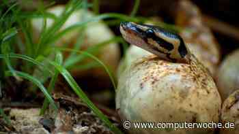 So geht modernes Python