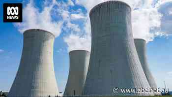 Physicist willing to bet 'large amounts of money' against nuclear power being built in Australia in his lifetime