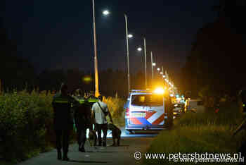Politie vangt ontsnapte honden langs provinciale weg Vinkeveen