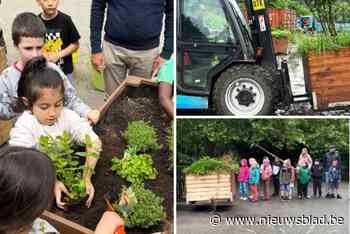 Plantenbakken vesten zijn gegeerd bij Mechelse scholen: “Ook beschadigde proberen we te hergebruiken”