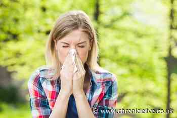 Driving rules for anyone who has hay fever and uses medication - and when you can be fined