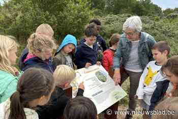 Vertrouwde ‘leerpad’ in De Doornpanne in nieuw jasje: “Met wat geluk kom je oog in oog te staan met onze grazers”