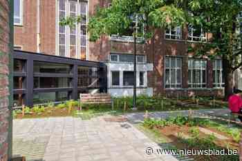 Geen lift voor Mortselse academie: “Hopelijk kunnen sterke leerkrachten minder mobiele mensen helpen”