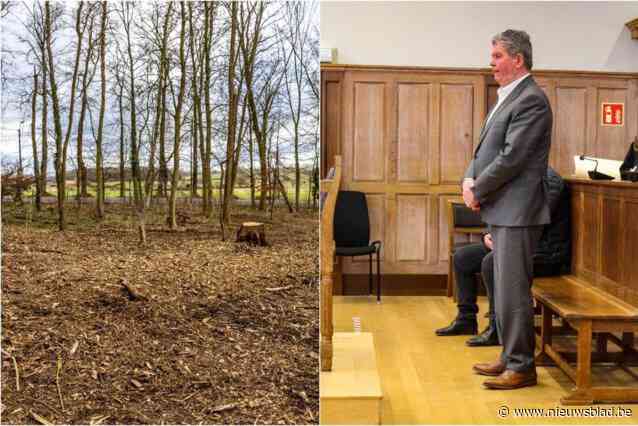 Anzegems burgemeester Gino Devogelaere veroordeeld tot 8.000 euro boete voor ongeoorloofde opruimwerken: “Is dit mijn bedanking voor al die jaren in de gemeentepolitiek?”