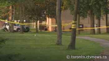 Heavy police presence after firearm discharged in North York: TPS