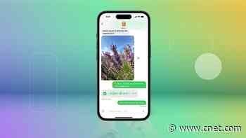 Apple's RCS Texting Previews All New Features for Green Bubble Texts     - CNET