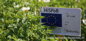 Bayer stapt in aardappelen met deal Solynta​​​​​​​