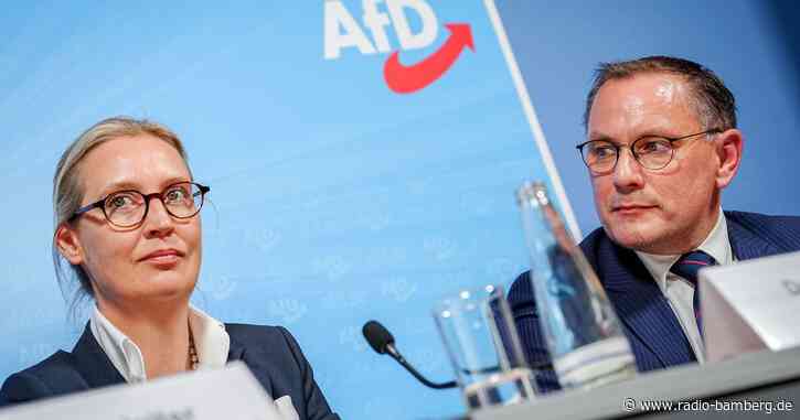 AfD-Spitze strebt Austritt aus ID-Partei an