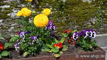 Nachhaltiges Projekt: Kiez-Biergarten rettet Pflanzen
