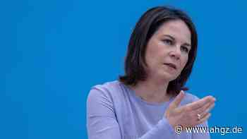 Grünen-Vorstoß: Fachkräfte-Einwanderung vereinfachen