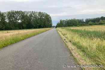 Aangepast bermenbeheerplan goedgekeurd op gemeenteraad