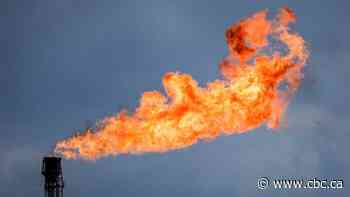 Alberta oil and gas sector exceeded flaring limit in 2023, data shows