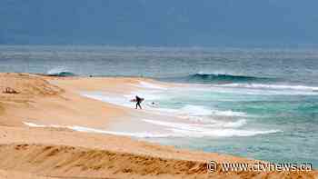 Lifeguard and 'Pirates of the Caribbean' actor dies after apparent shark attack in Hawaii