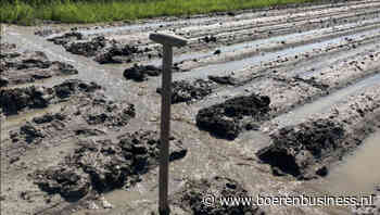 Symfonie van noodklokken klinkt in Europa