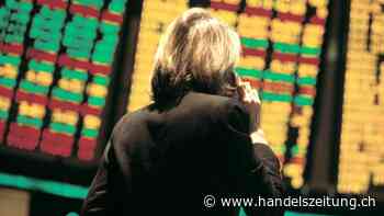 Diese sechs Schweizer Aktien sind derzeit die Überflieger