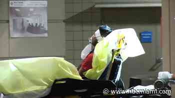 Man struck in head with broken bottle during argument in SW Miami-Dade: Police