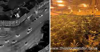Parade Street, Hendon: Cannabis farm busted by drone