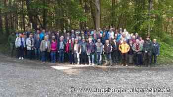 Staatsforsten setzen auf Tannenbäume gegen die Klimakrise
