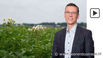 Aandacht verschuift meer en meer naar nieuwe oogst