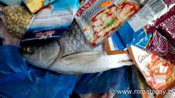 Chiuso minimarket vicino alla stazione, 30 chili di cibi scaduti e non tracciati. Le etichette venivano cancellate