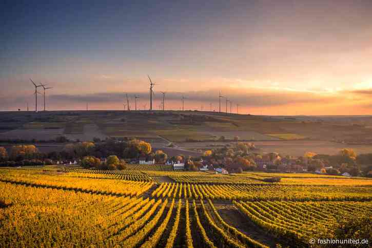 H&M Gruppe investiert in Batterienhersteller Rondo Energy